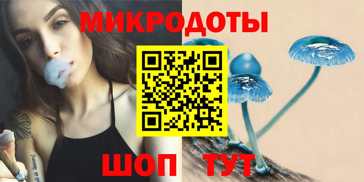 купить  цена  Псилоцибиновые грибы Magic Shrooms  Вход с VPN  Новозыбков 