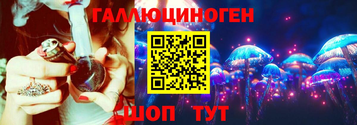 Галлюциногенные грибы Cubensis Новозыбков