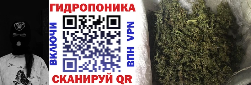 Марихуана тримм  где можно купить наркотик  блэк спрут как войти  Новозыбков 